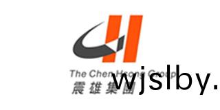 震(zhen)雄集(ji)糰(tuan)